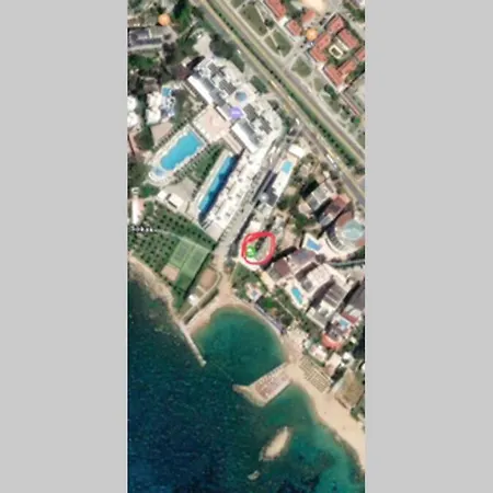 Denize Sifir Keyifli Avsallar